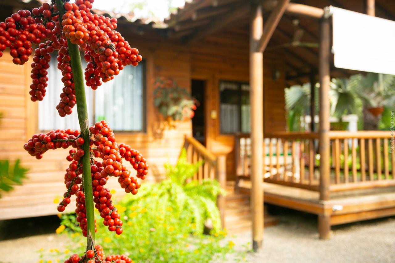 Casa Marcellino Lodge Кахуіта Екстер'єр фото